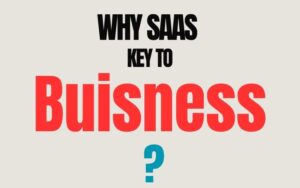 Read more about the article Why Saas Solutions Are Key to Business Success in 2024